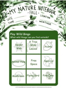 green-hour-fall-wild-bingo-card