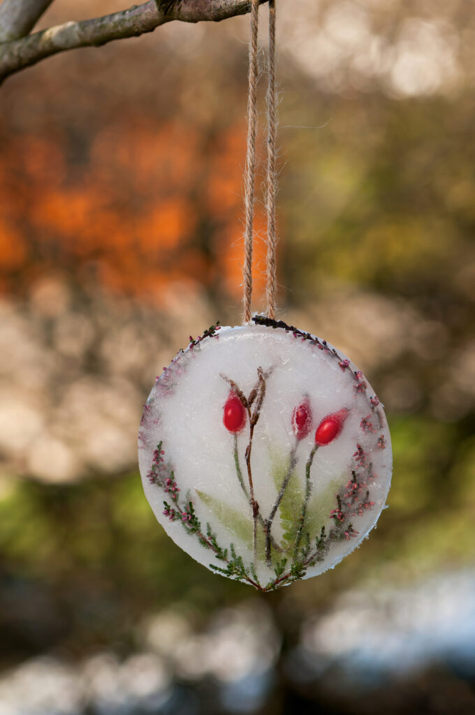 Photo: Oksana_Schmidt