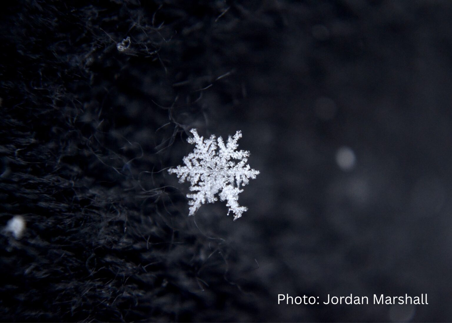 Snowflake Warm Observe a Snowflake - NWF Green Hour